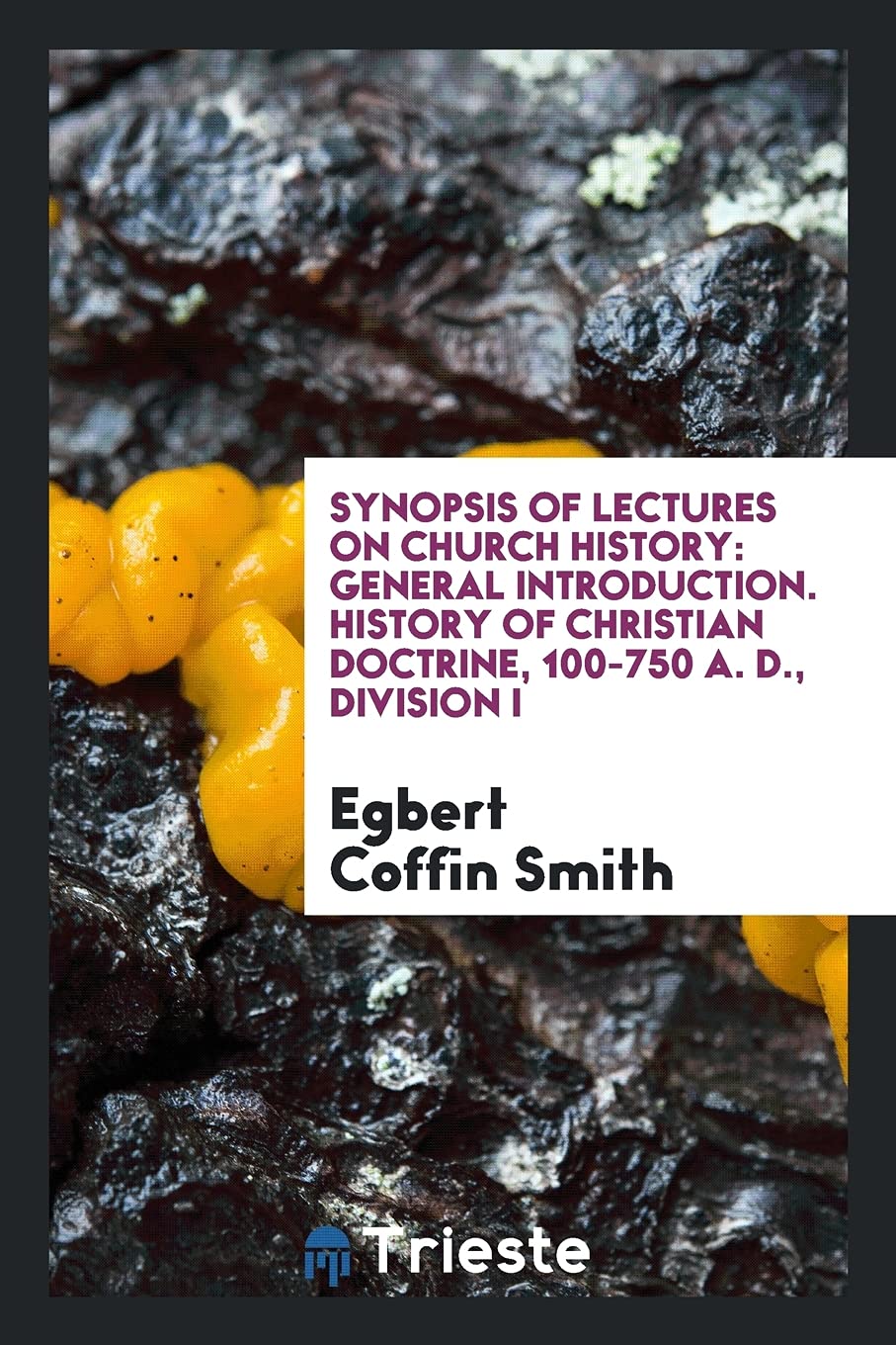 Synopsis of Lectures on Church History: General Introduction. History of Christian Doctrine, 100-750 A. D., Division I Books