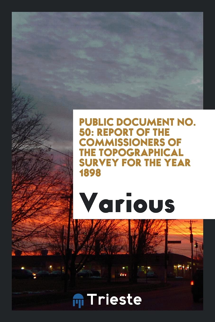 Public Document No. 50: Report of the Commissioners of the Topographical Survey for the Year 1898 Books