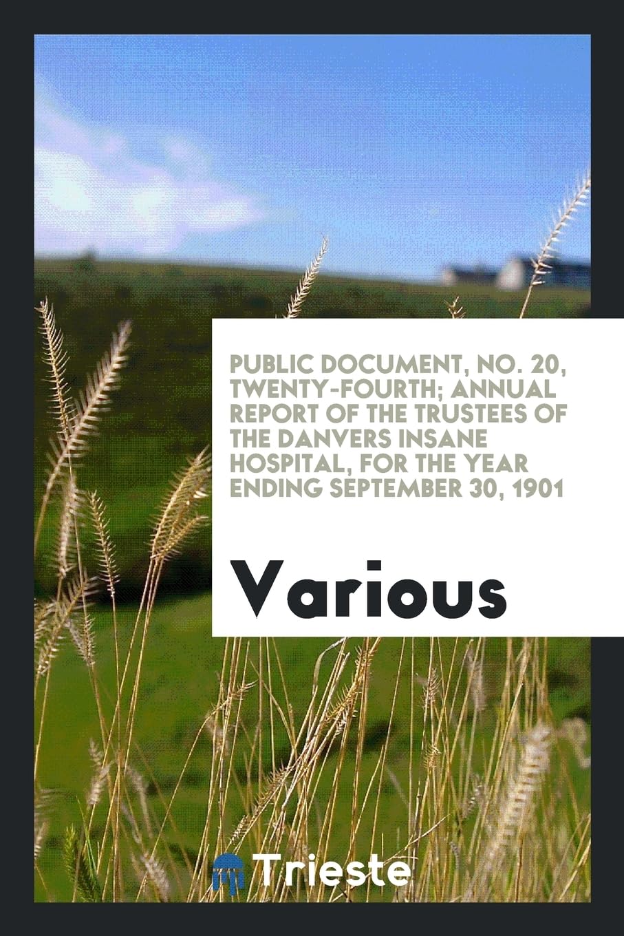 Public Document, No. 20, Twenty-Fourth; Annual Report of the Trustees of the Danvers Insane Hospital, for the Year Ending September 30, 1901 Books