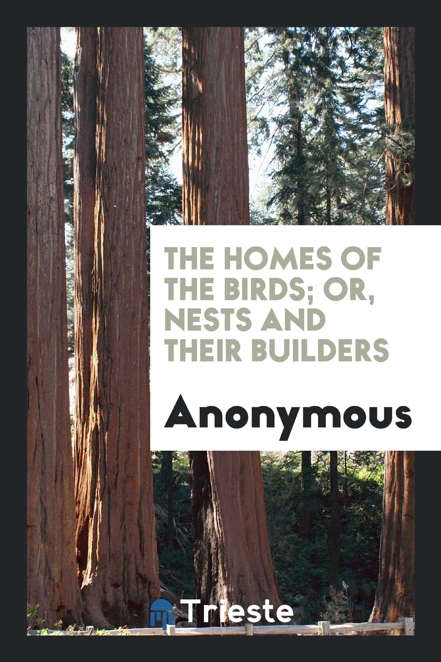 The Homes of the Birds; Or, Nests and Their Builders Politics & History