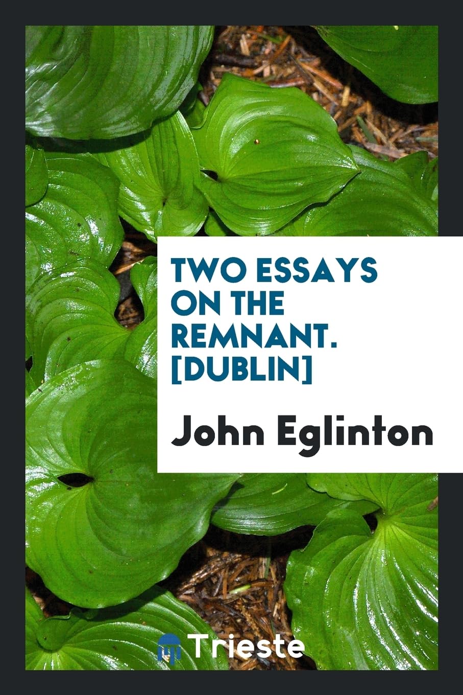 Product Image: Two Essays on the Remnant.