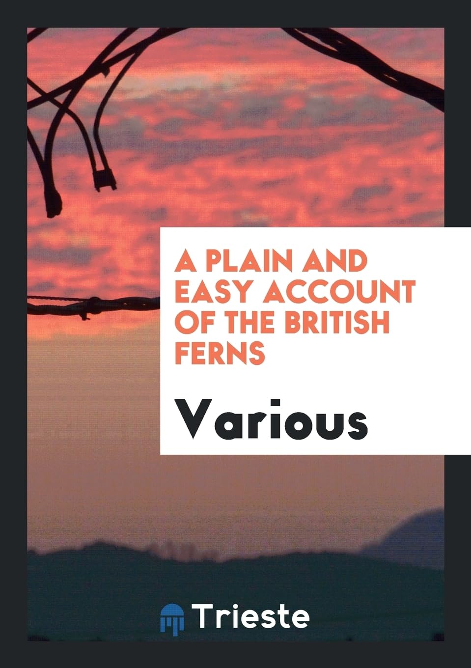 A Plain and Easy Account of the British Ferns Politics & History