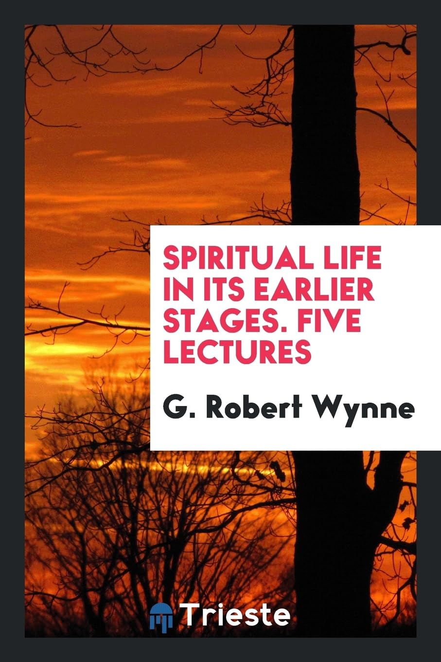 Spiritual Life in Its Earlier Stages. Five Lectures Politics & History