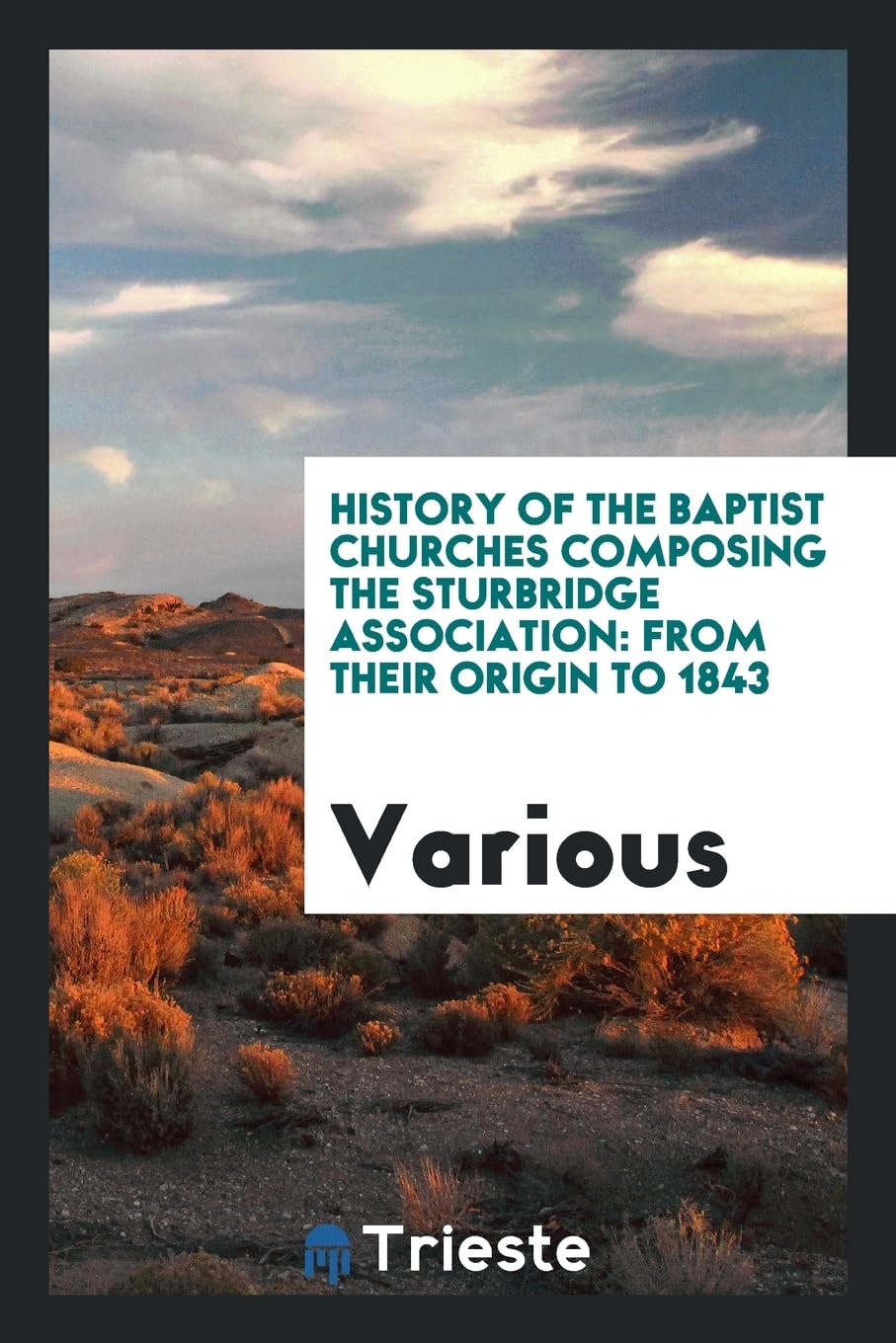 History of the Baptist Churches Composing the Sturbridge Association: From Their Origin to 1843 Books