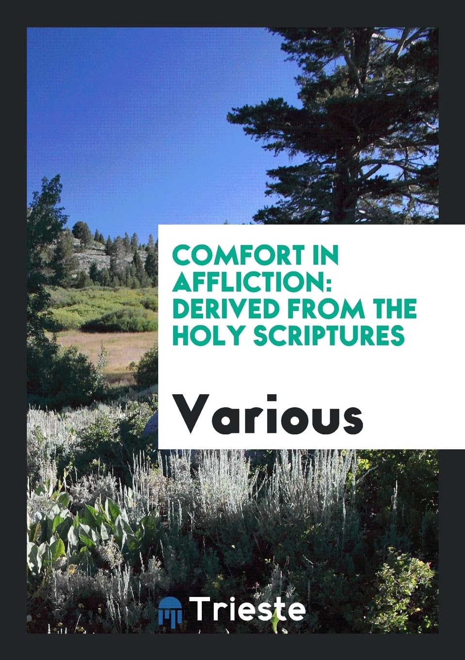 Product Image: Comfort in Affliction: Derived from the Holy Scriptures