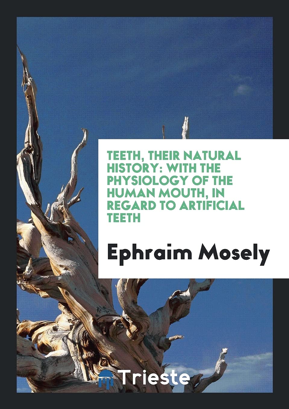Teeth, Their Natural History: With the Physiology of the Human Mouth, in Regard to Artificial Teeth Medicine