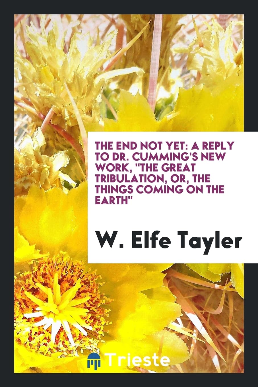 The End Not Yet: A Reply to Dr. Cumming's New Work, the Great Tribulation, Or, the Things Coming on the Earth Religion & Esotericism