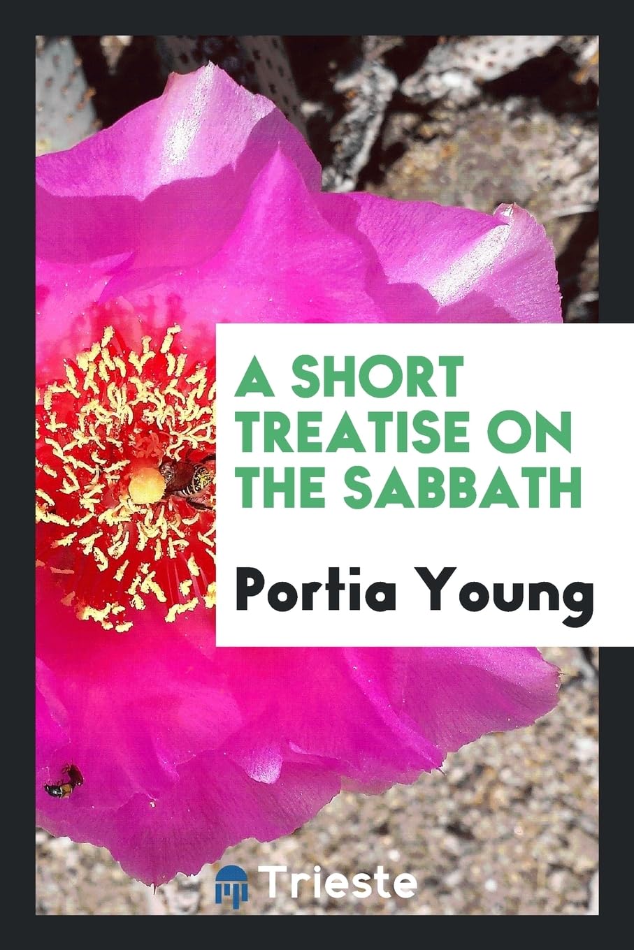 A Short Treatise on the Sabbath Politics & History