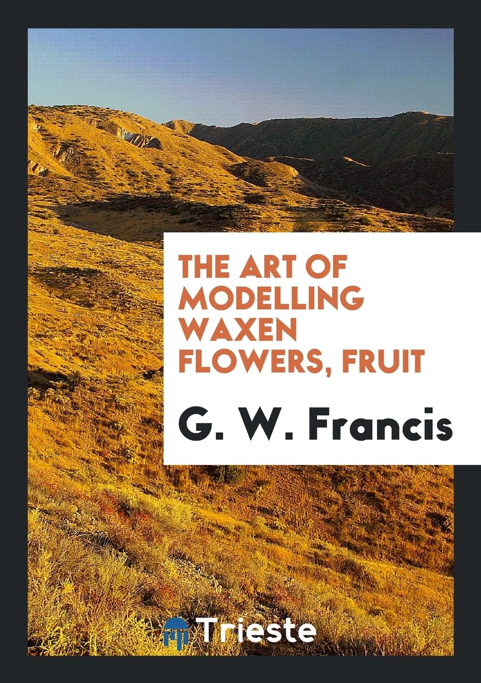 The Art of Modelling Waxen Flowers, Fruit Politics & History