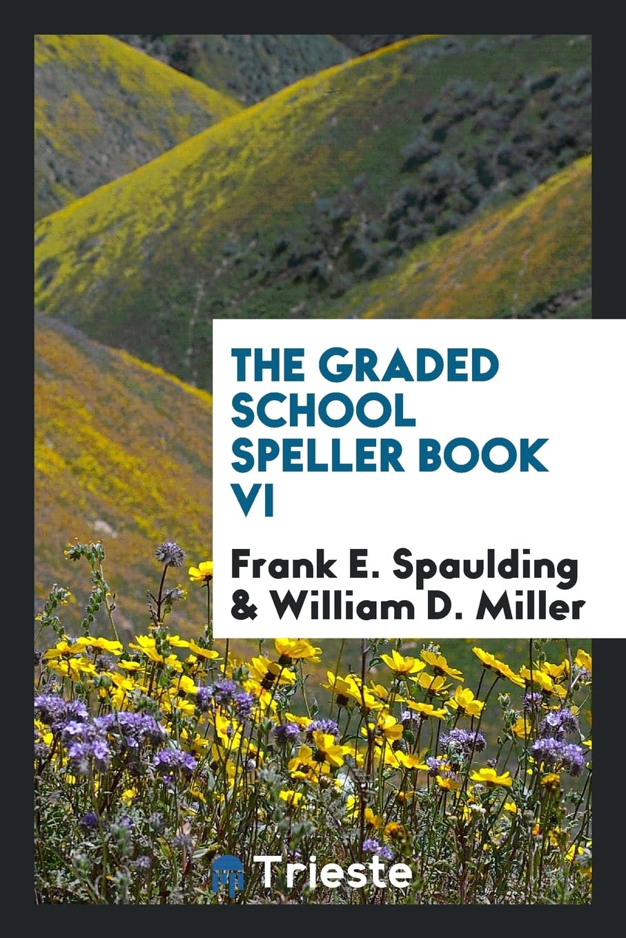 Product Image: The Graded School Speller Book VI