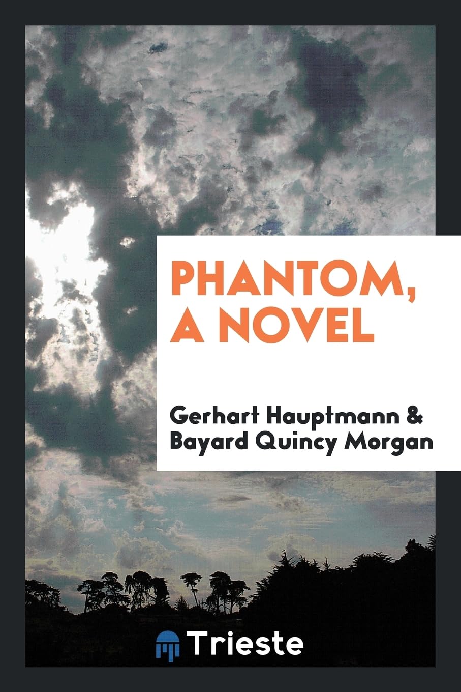 Phantom, a Novel Politics & History