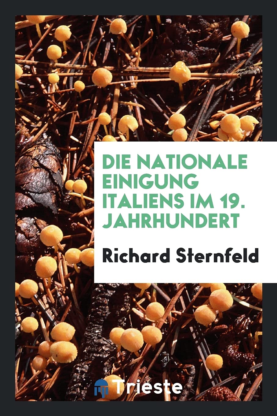 Die Nationale Einigung Italiens Im 19. Jahrhundert Foreign Languages ​​& Dictionaries