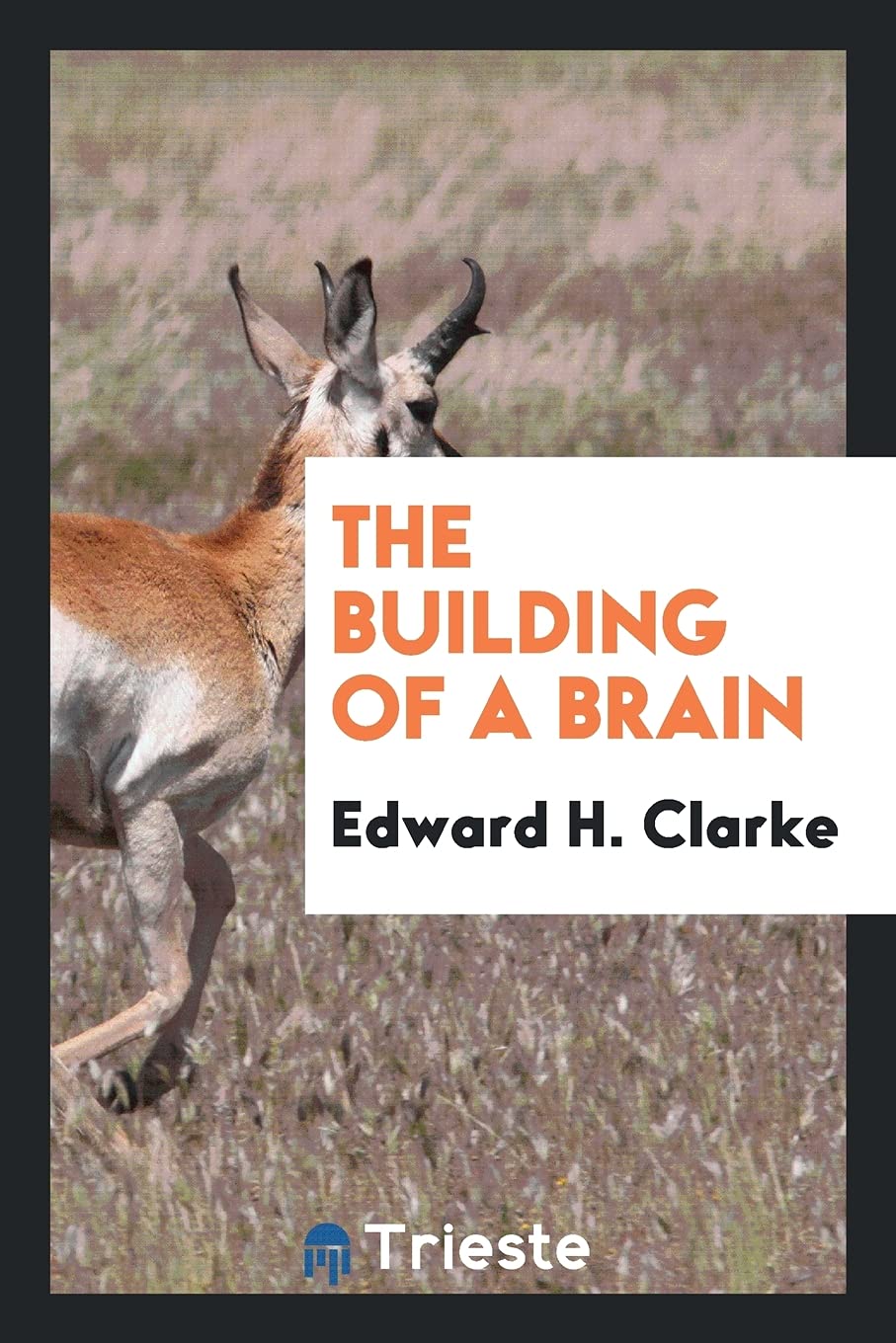 The Building of a Brain Medicine