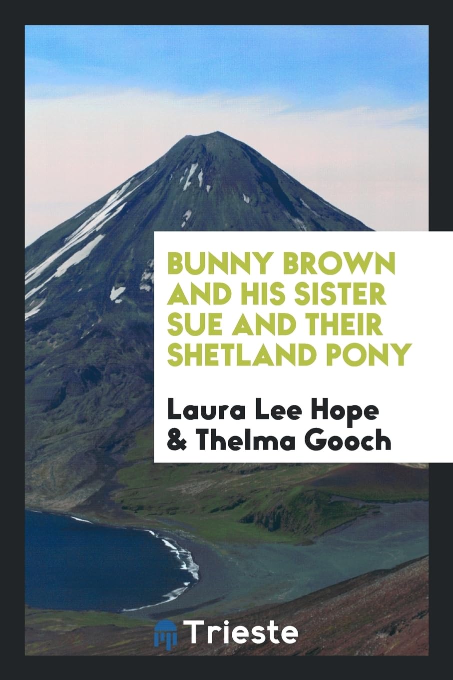 Bunny Brown and His Sister Sue and Their Shetland Pony Contemporary literature