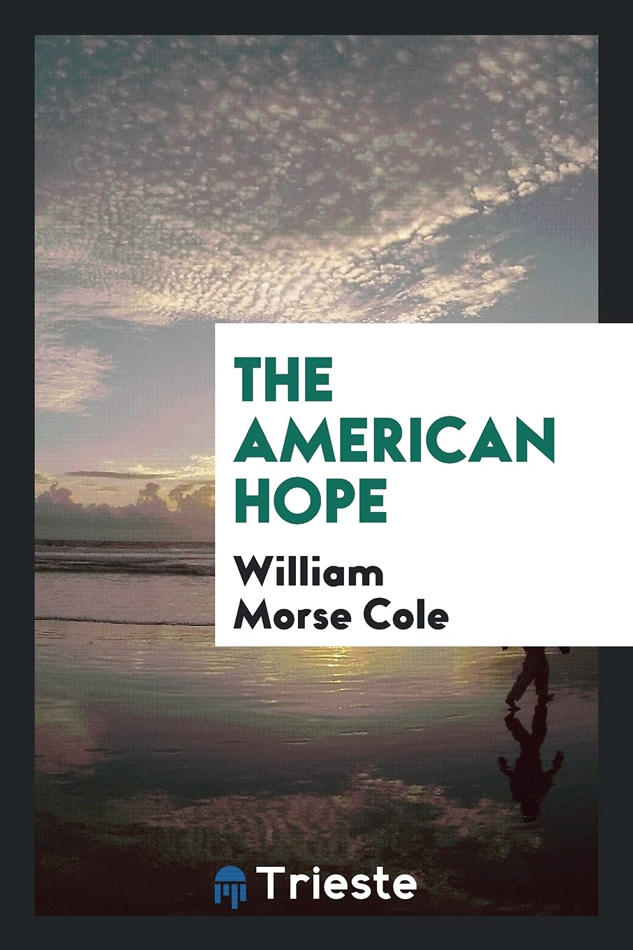 Product Image: The American Hope
