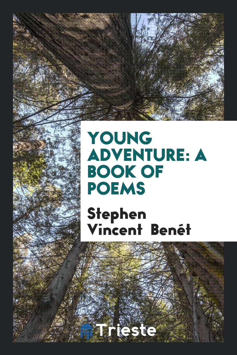 Young Adventure: A Book of Poems Contemporary literature