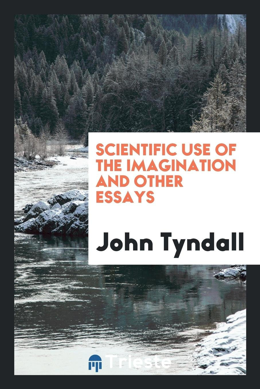 Scientific Use of the Imagination and Other Essays Law