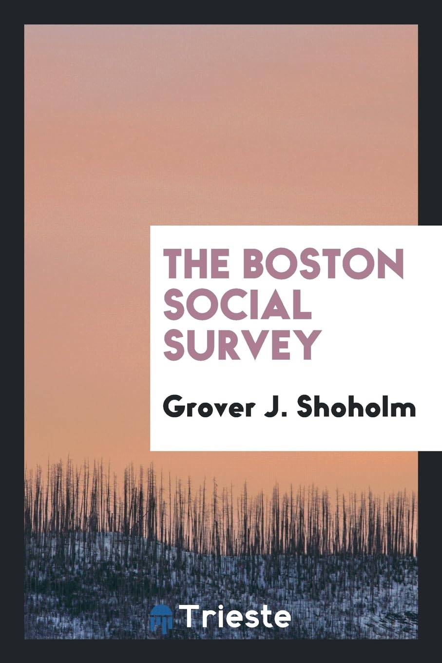 The Boston Social Survey Books