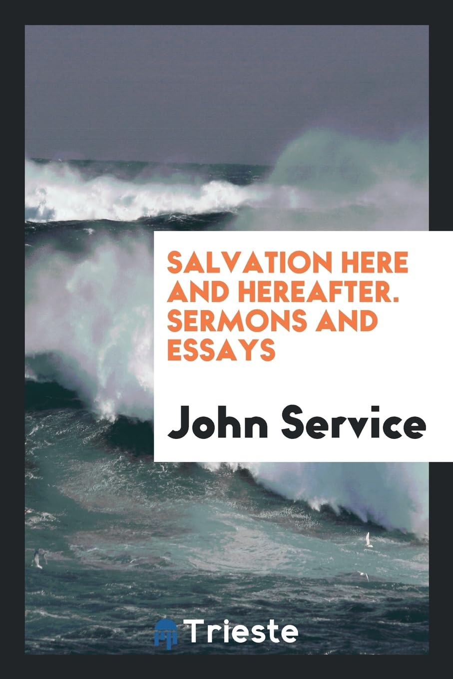 Salvation Here and Hereafter. Sermons and Essays Social Sciences