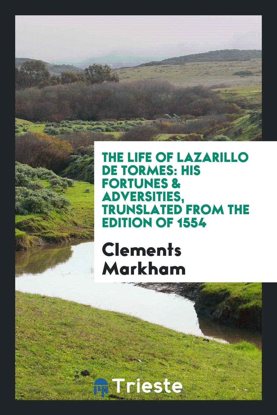 The Life of Lazarillo de Tormes: His Fortunes & Adversities Memories