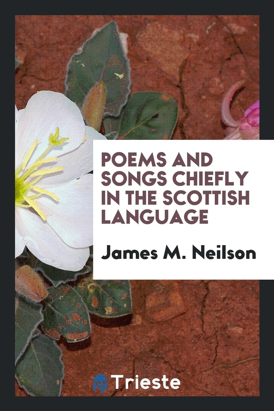 Poems and Songs Chiefly in the Scottish Language Social Sciences