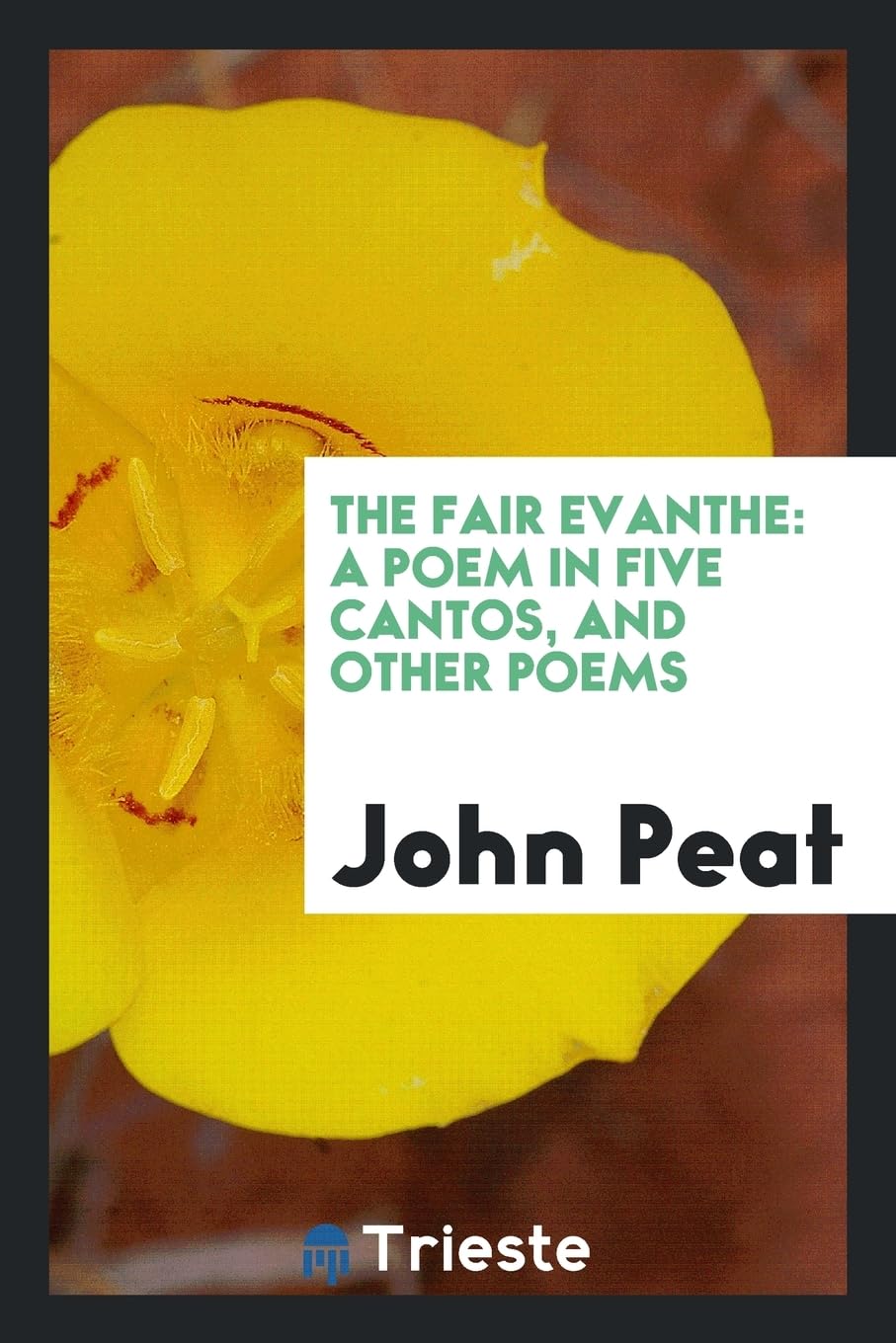The Fair Evanthe: A Poem in Five Cantos, and Other Poems Contemporary literature