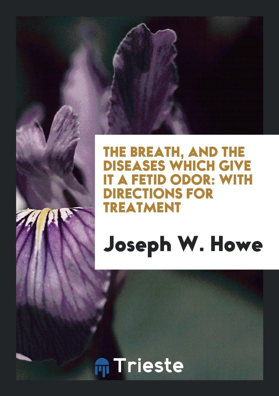The Breath, and the Diseases Which Give It a Fetid Odor: With Directions for Treatment Books