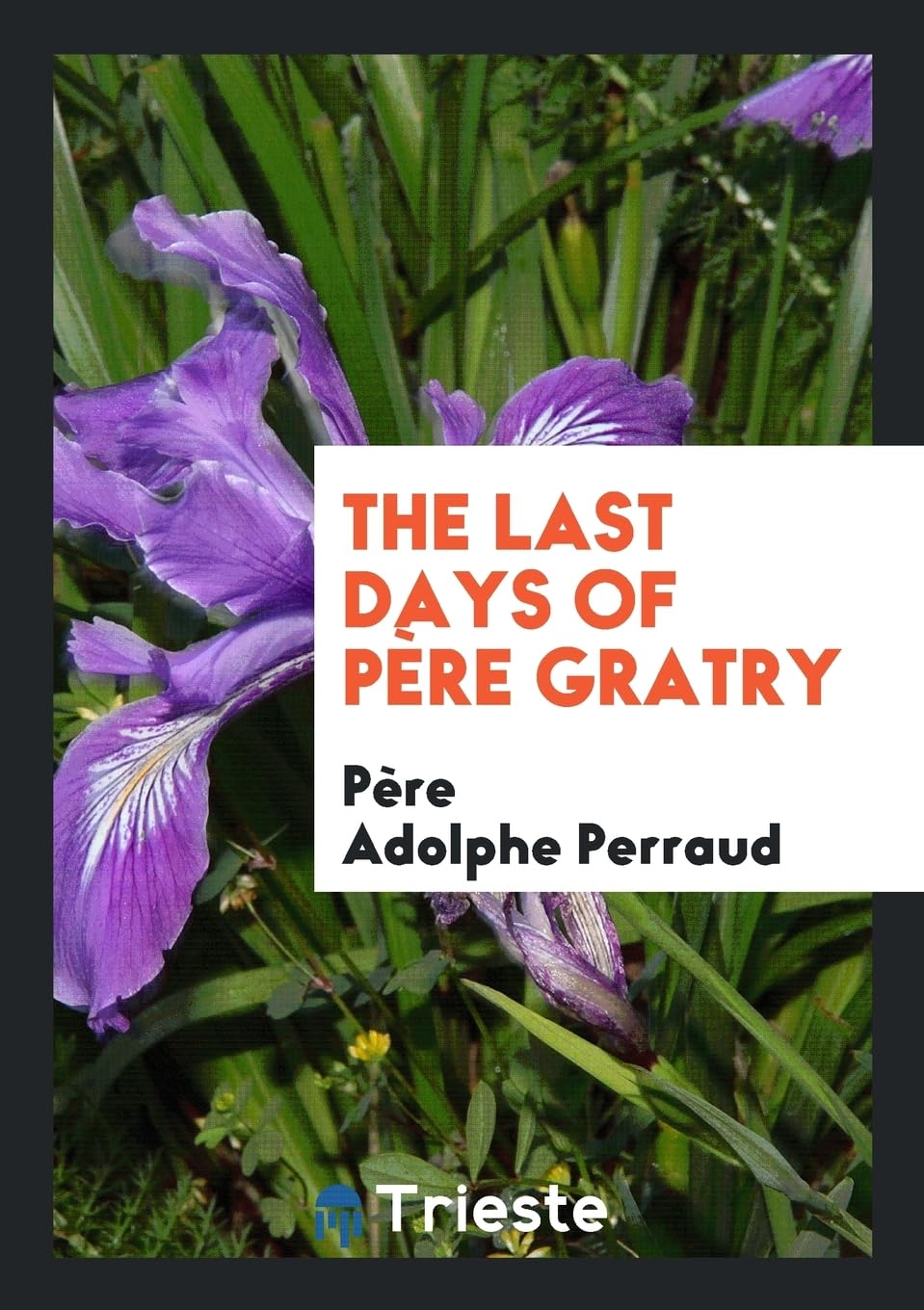 The Last Days of Père Gratry Books