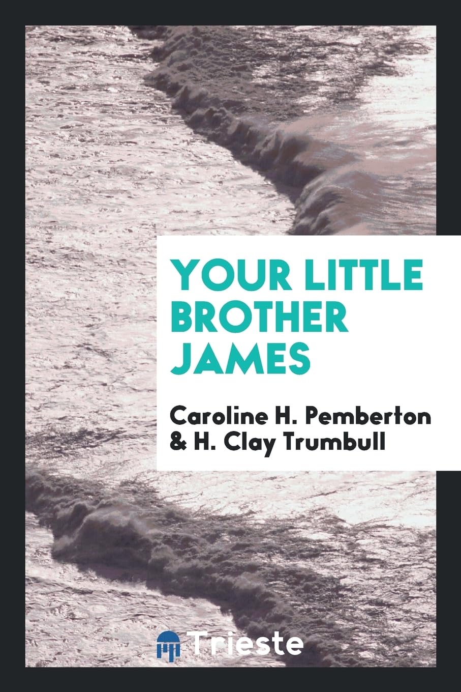 Your Little Brother James Contemporary literature