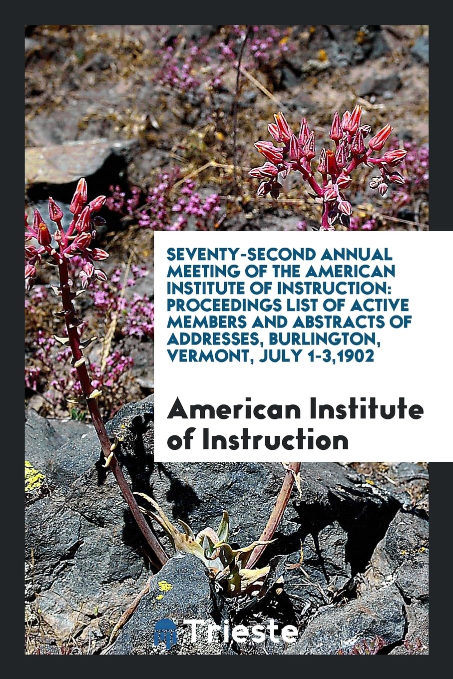 Seventy-Second Annual Meeting of the American Institute of Instruction: Proceedings List of Active Members and Abstracts of Addresses, Burlington, Ver Social Sciences