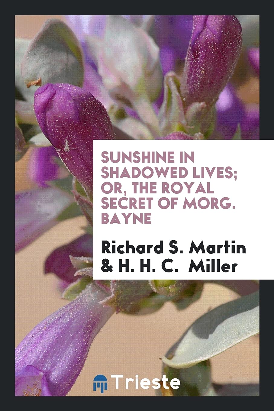 Sunshine in Shadowed Lives; Or, the Royal Secret of Morg. Bayne Books