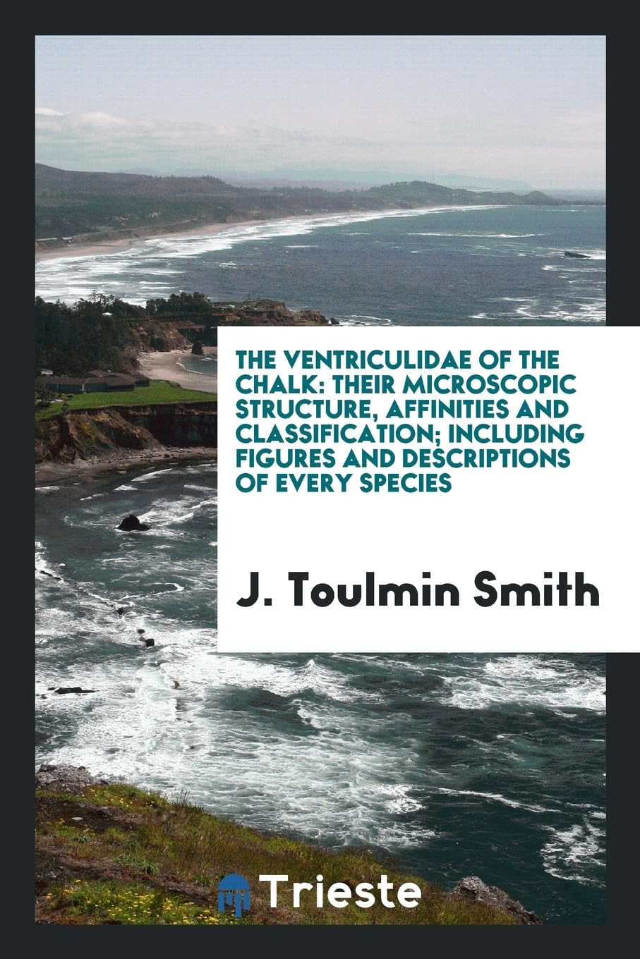 The Ventriculidae of the Chalk: Their Microscopic Structure, Affinities and Classification; Including Figures and Descriptions of Every Species Books