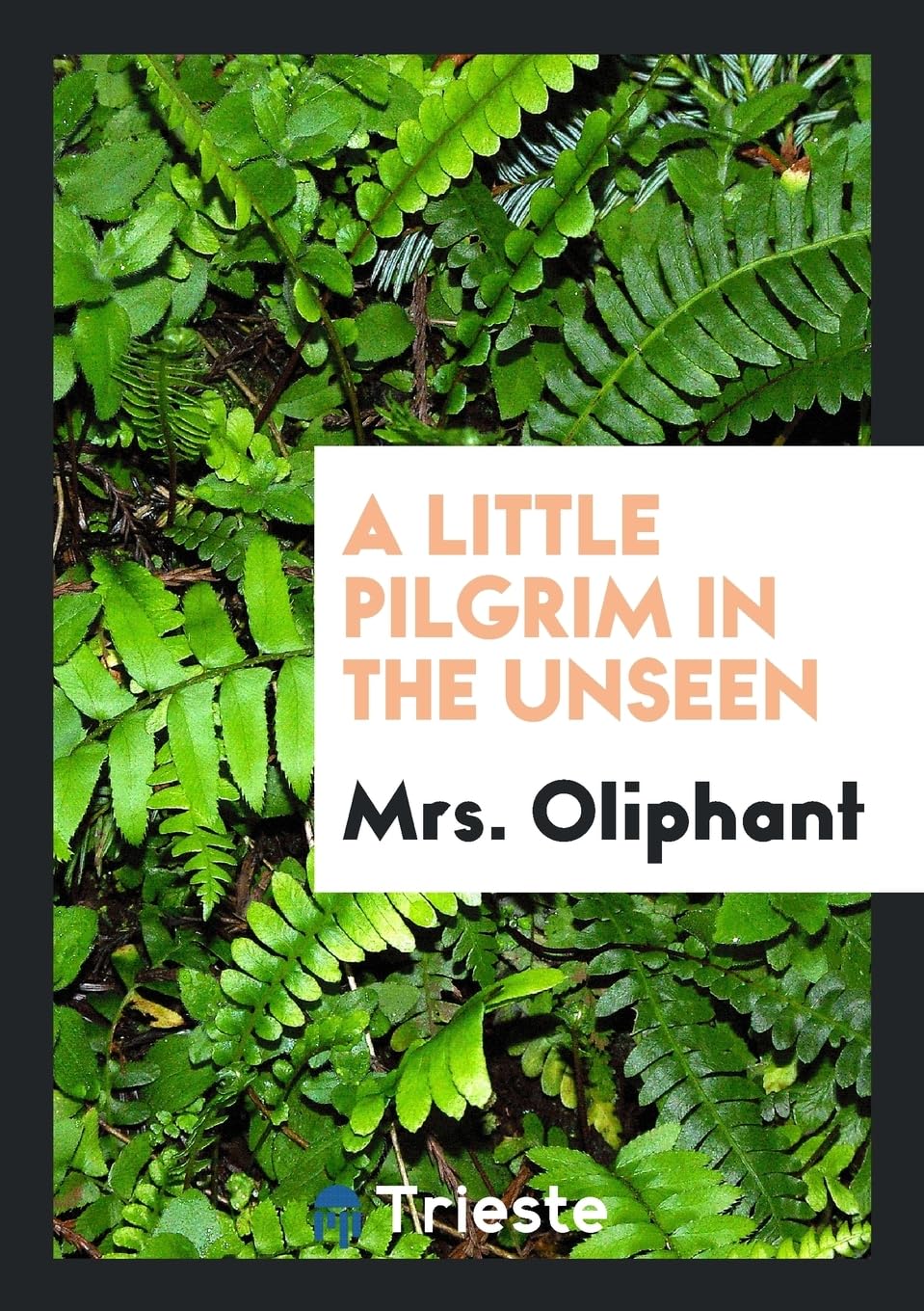 A Little Pilgrim in the Unseen Social Sciences