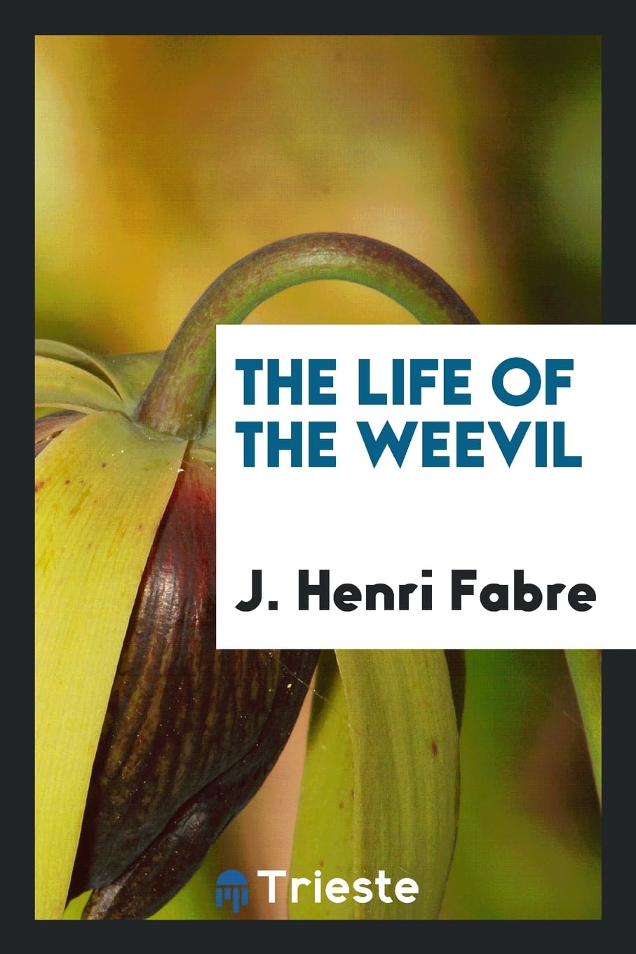 The Life of the Weevil Social Sciences