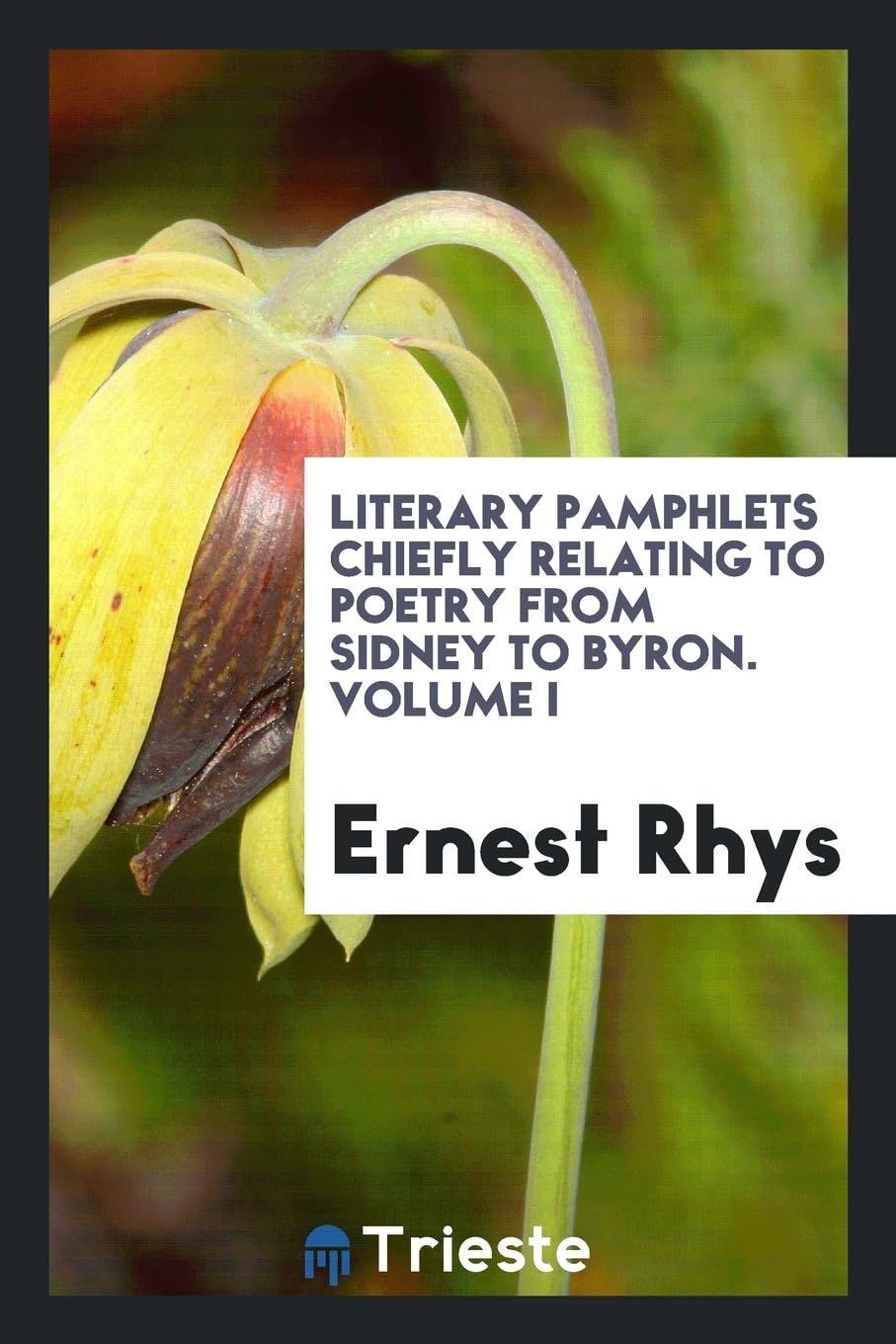Literary Pamphlets Chiefly Relating to Poetry from Sidney to Byron. Volume I Social Sciences
