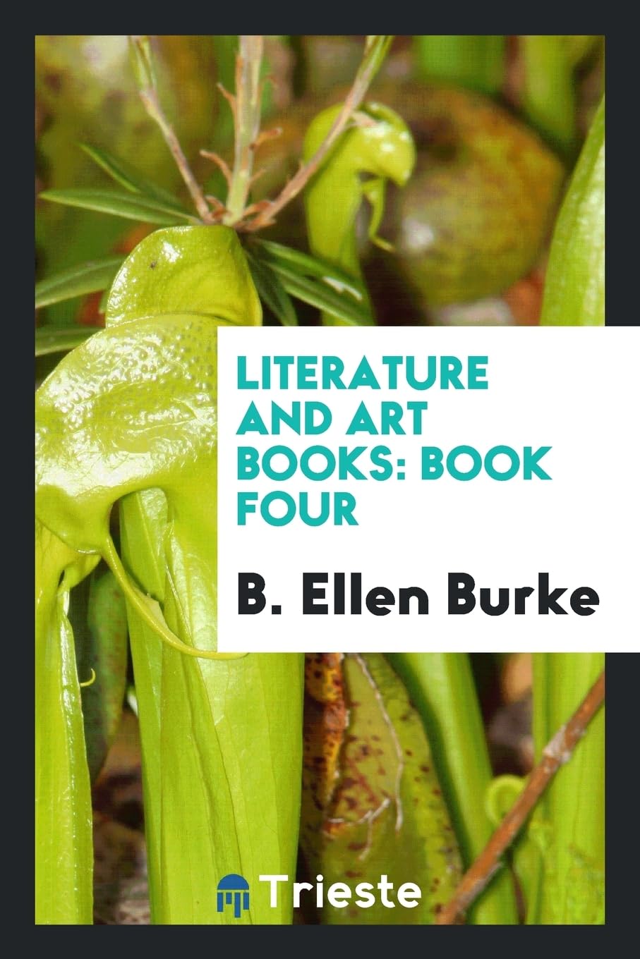 Literature and Art Books: Book Four Social Sciences