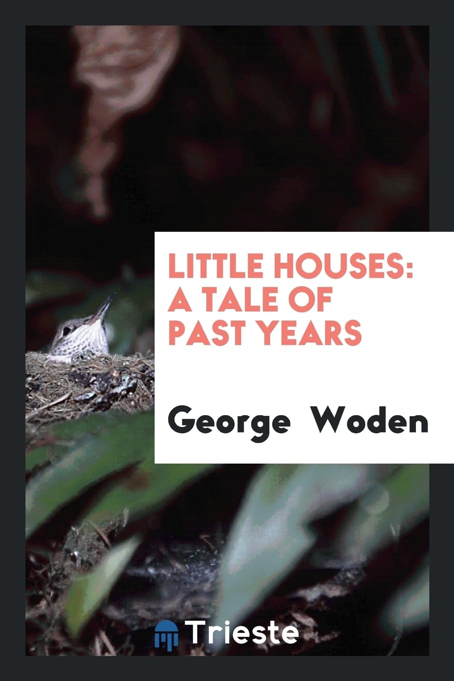Little Houses: A Tale of Past Years Books