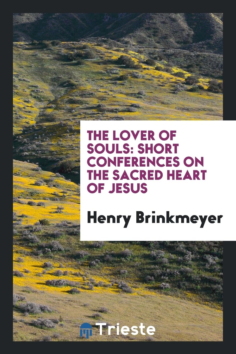 The Lover of Souls: Short Conferences on the Sacred Heart of Jesus Social Sciences