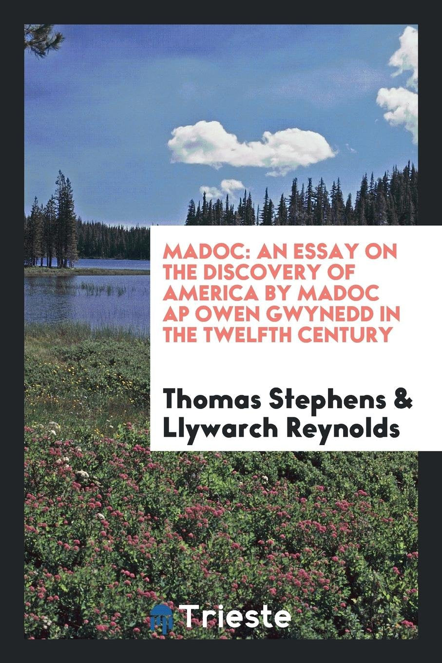 Madoc: An Essay on the Discovery of America by Madoc AP Owen Gwynedd in the Twelfth Century Books