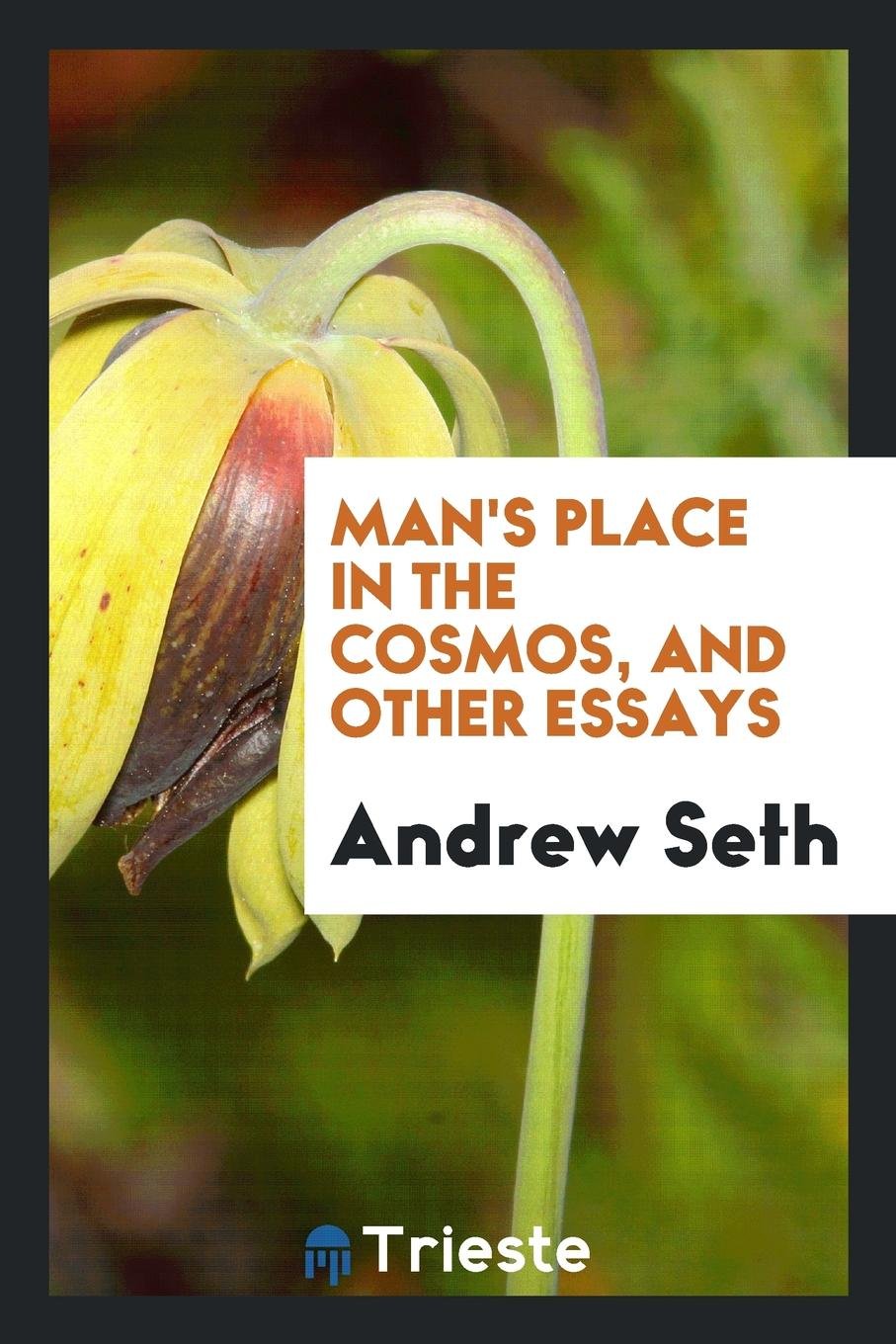 Man's Place in the Cosmos, and Other Essays Philosophy