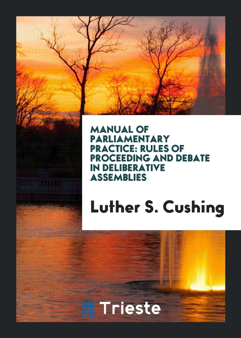 Manual of Parliamentary Practice: Rules of Proceeding and Debate in Deliberative Assemblies Contemporary literature