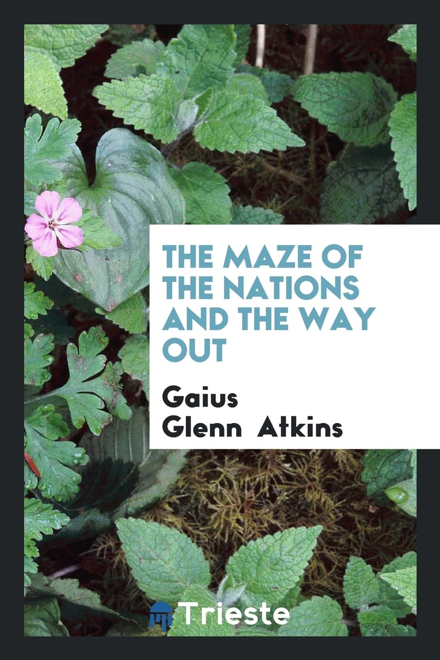 The Maze of the Nations and the Way Out Politics & History
