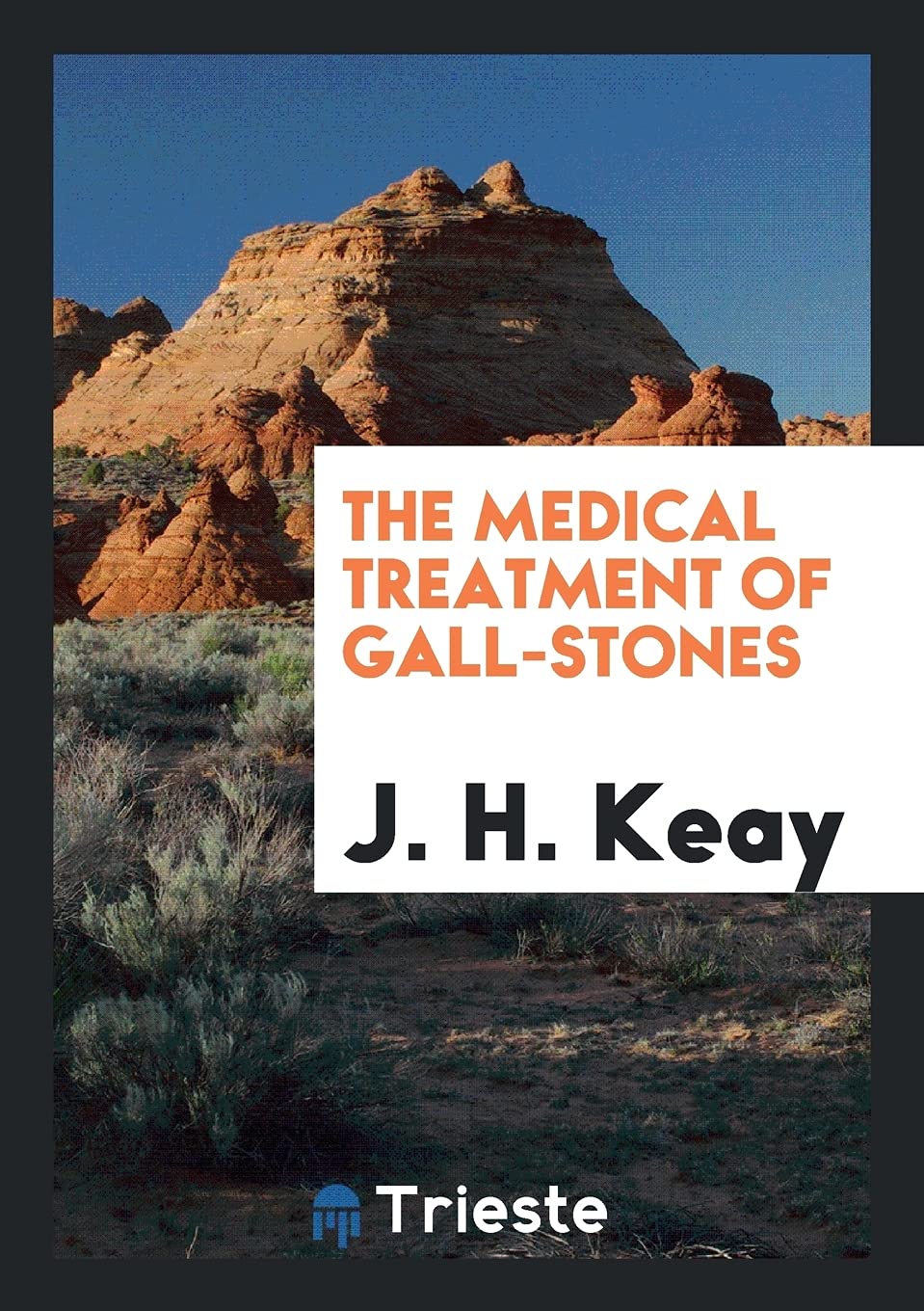 The Medical Treatment of Gall-Stones Books