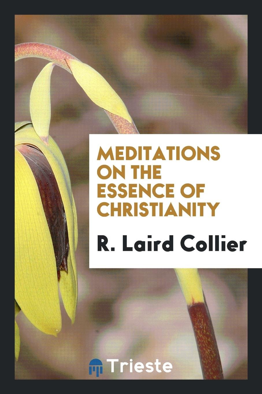 Meditations on the Essence of Christianity Social Sciences