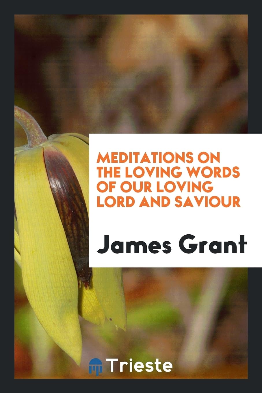 Meditations on the Loving Words of Our Loving Lord and Saviour Social Sciences