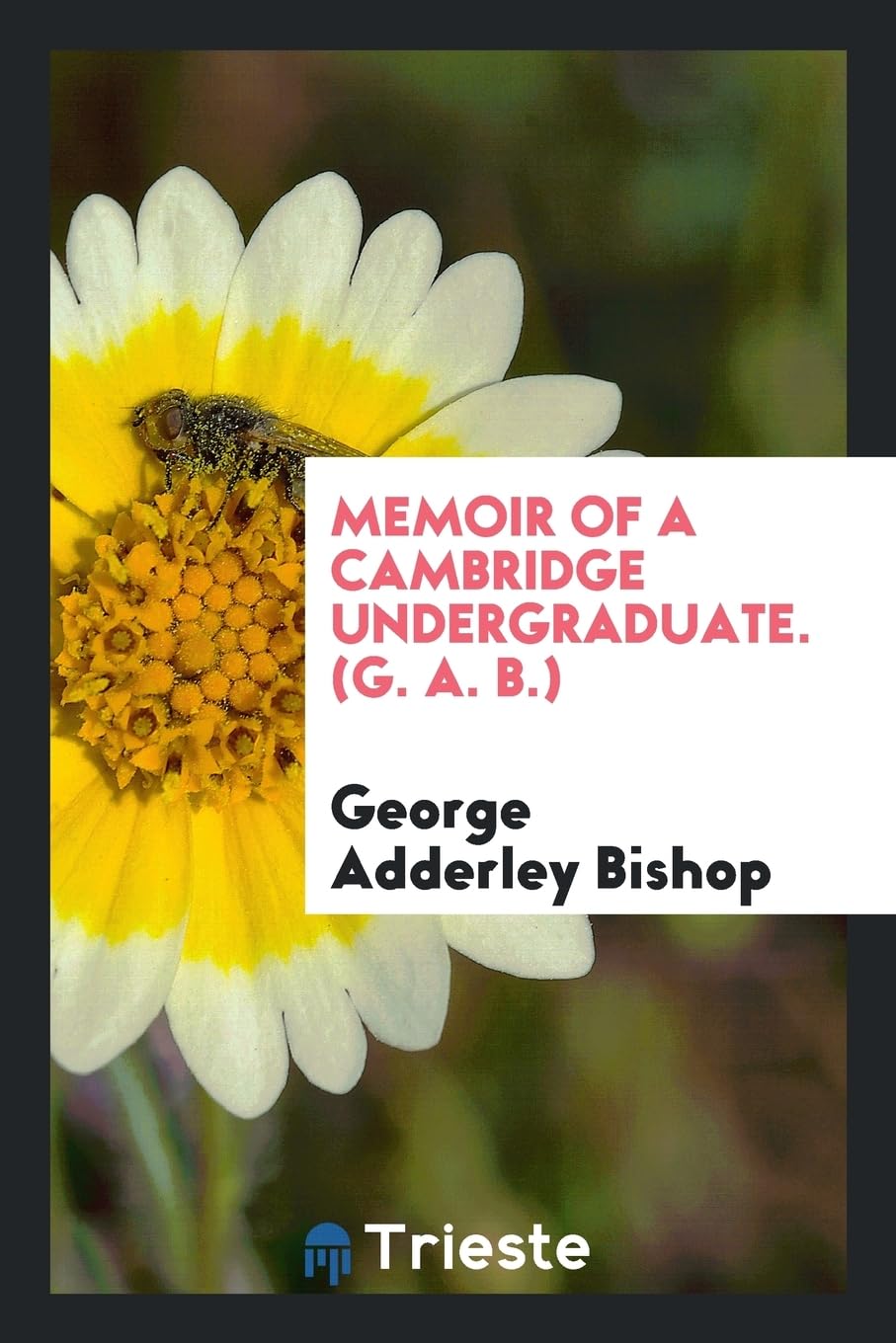 Memoir of a Cambridge Undergraduate. (G. A. B.) Contemporary literature