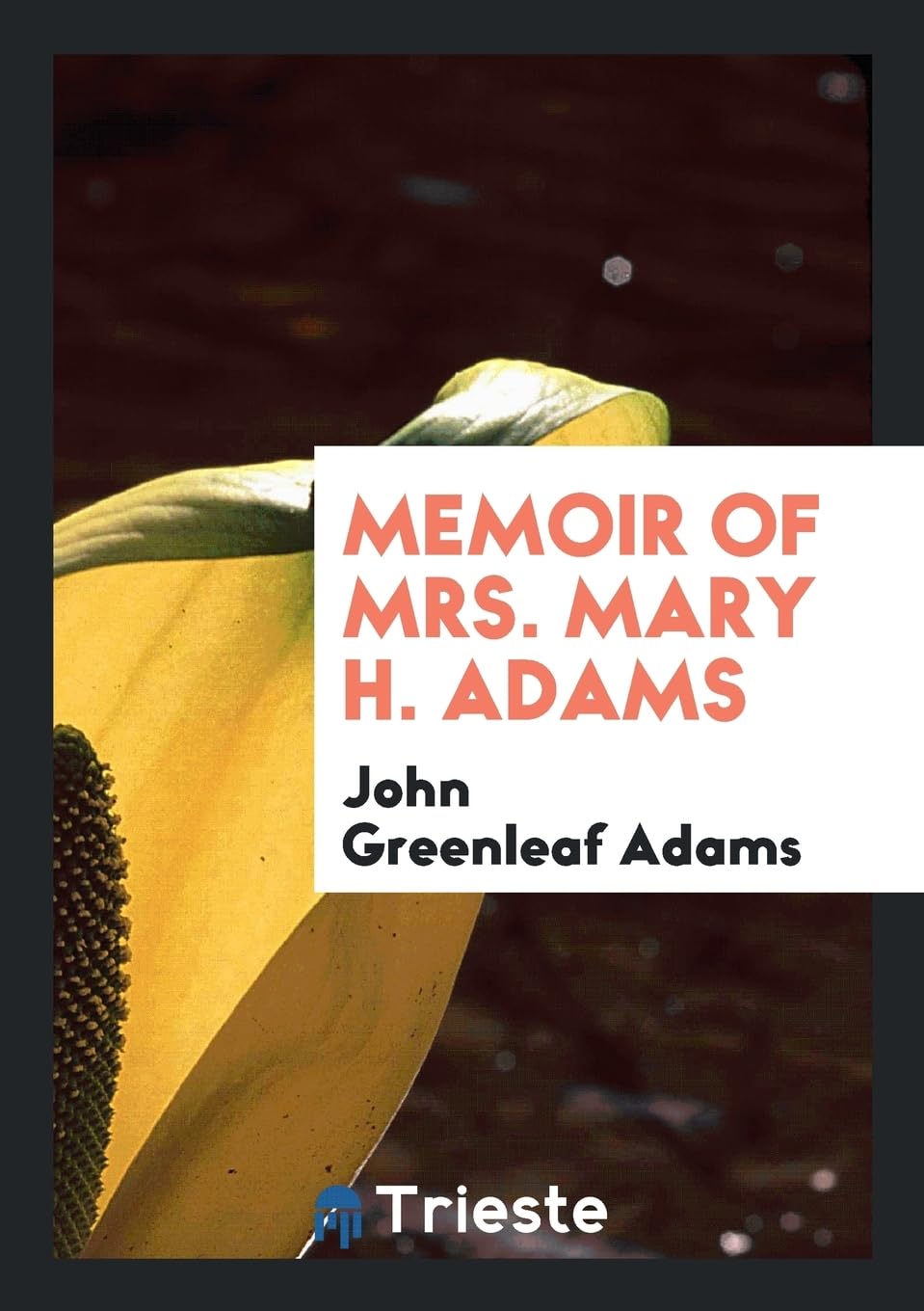 Memoir of Mrs. Mary H. Adams Social Sciences