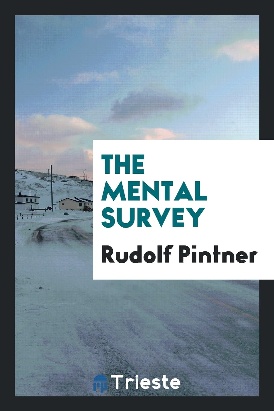 Product Image: The Mental Survey