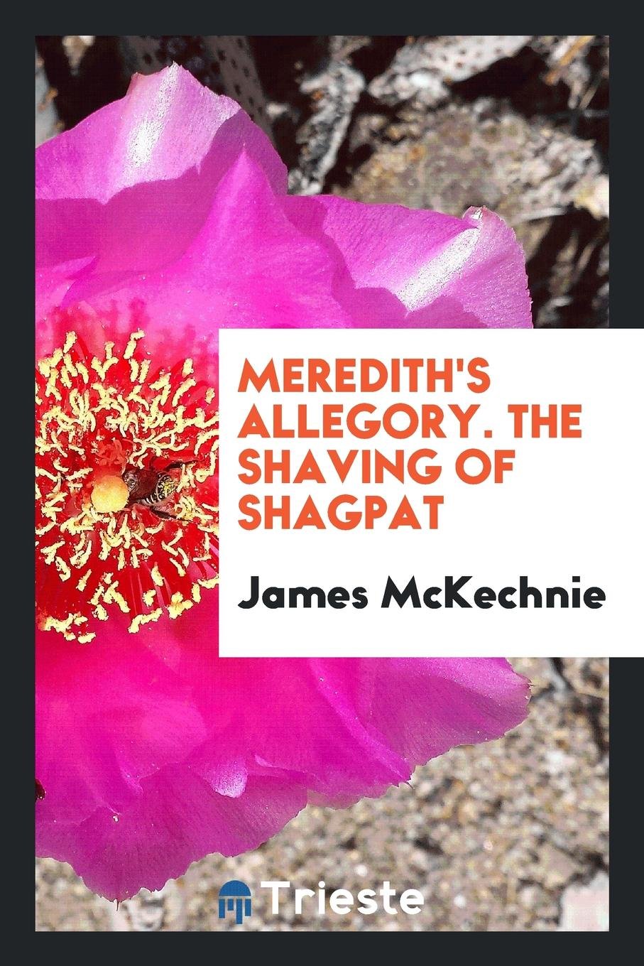 Meredith's Allegory the Shaving of Shagpat Politics & History