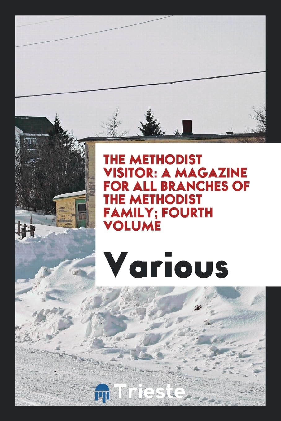The Methodist Visitor: A Magazine for All Branches of the Methodist Family; Fourth Volume Books
